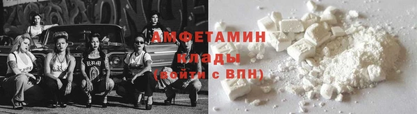 индика Карпинск