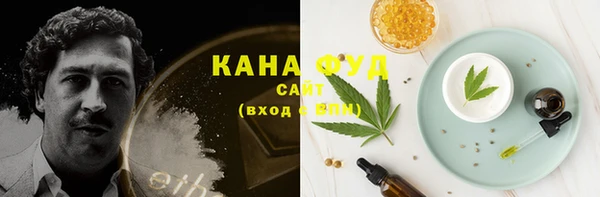 индика Карпинск