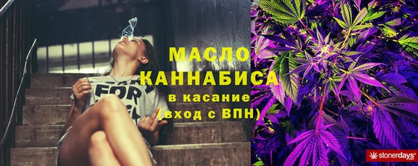 мдпв Каменногорск