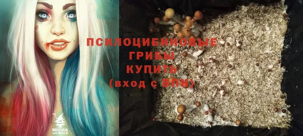 крисы Карталы
