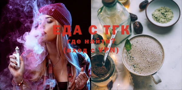 индика Карпинск