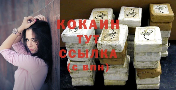 индика Карпинск