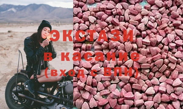 индика Карпинск