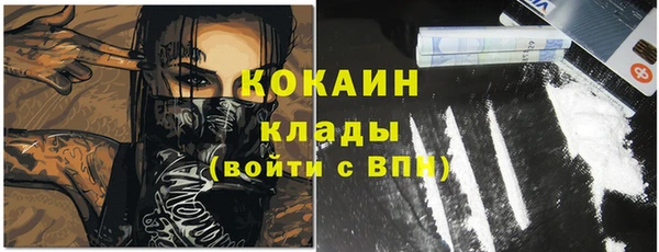 мдпв Каменногорск