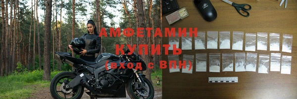 индика Карпинск
