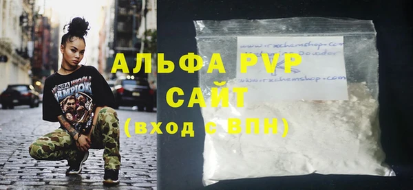 мдпв Каменногорск